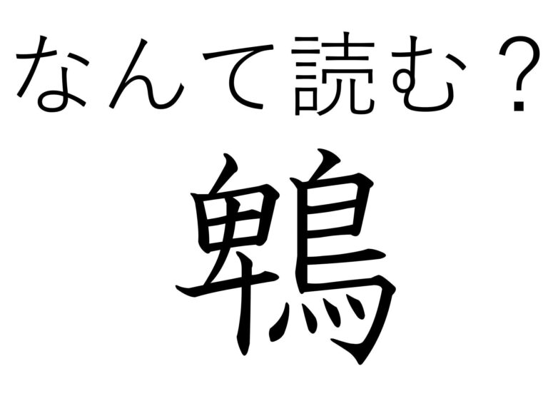 声を聞くとすぐわかる！難読漢字「鵯」はなんて読む？