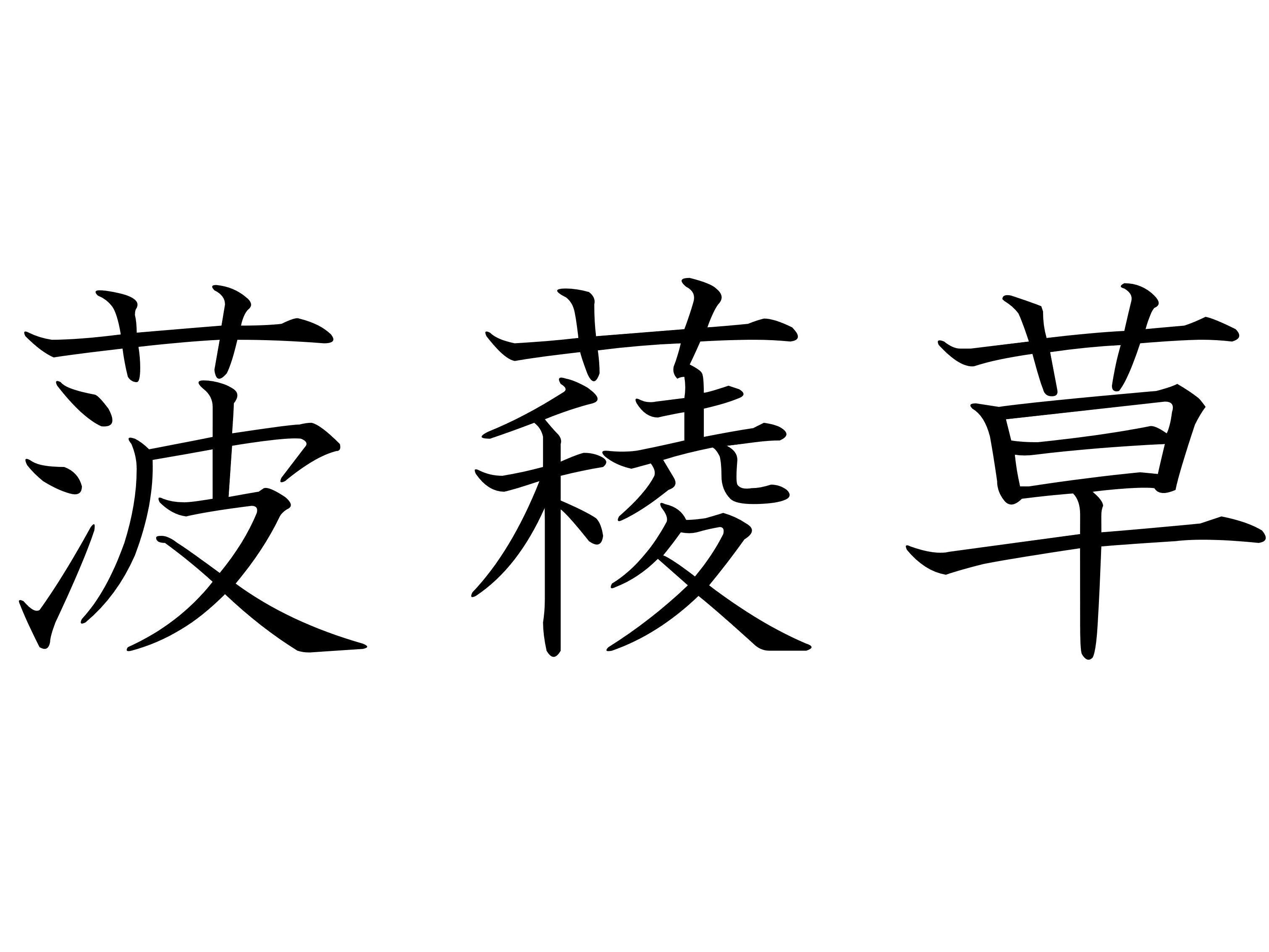 西からはるばるやってきた！難読漢字「菠薐草」はなんて読む？
