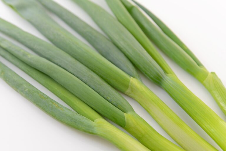 旬の長ネギを買ったらやらなきゃ損！プロが教える長ネギの1番おいしい食べ方