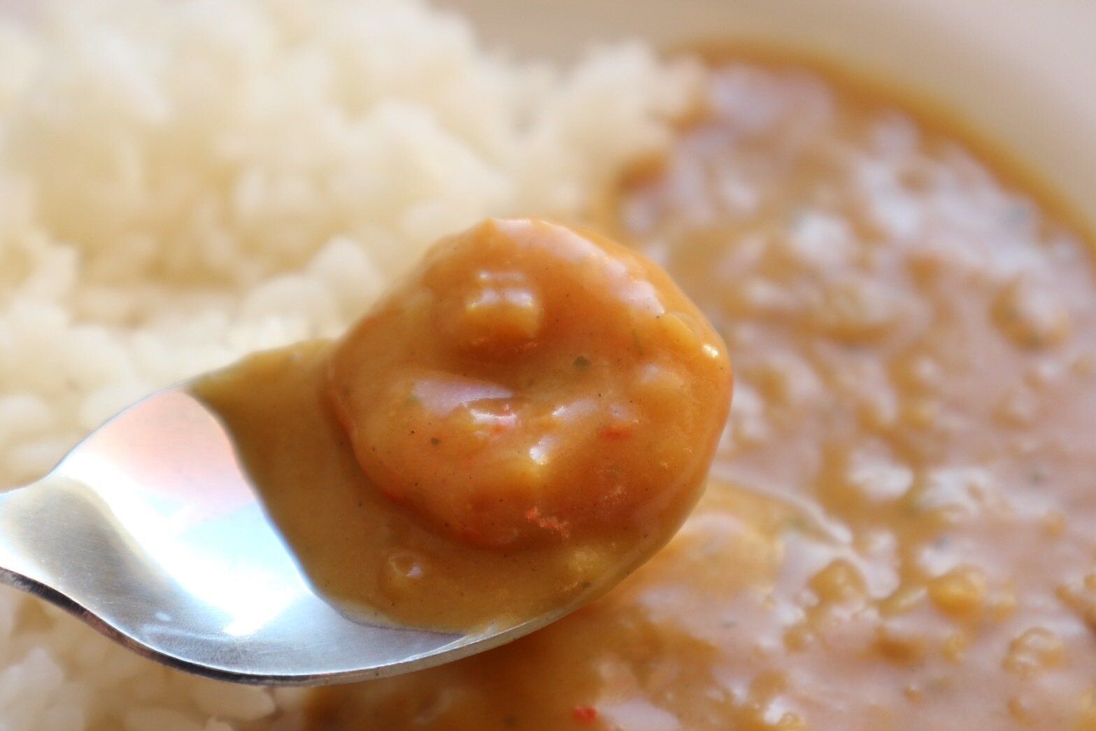 焙煎スパイスの海老のクリーミーカレー