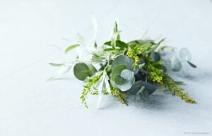 夏こそシートマスクで保湿を強化すべし！老け顔予防にも効果絶大