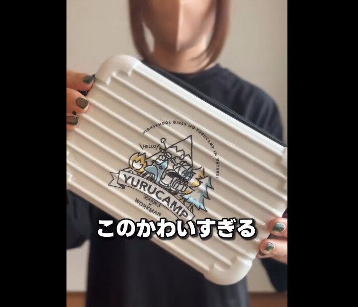 【ワークマン】1週間で売り切れた!ミニキャリーポーチ