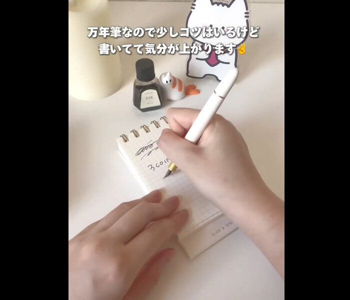 【3COINS】1番楽しみにしてた!万年筆&インクセット