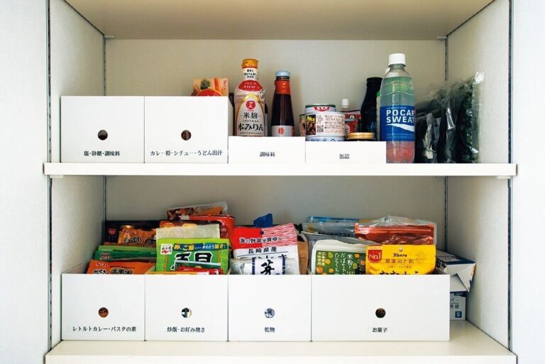 相当な面倒くさがり！それでも片付くヒミツは!?林智子さんの片づく家ルームツアー