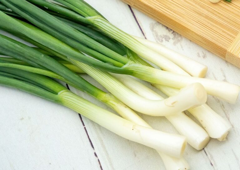 じつは避けたほうがいいかも!?野菜のプロが教える長ネギの「もったいない」食べかた4選