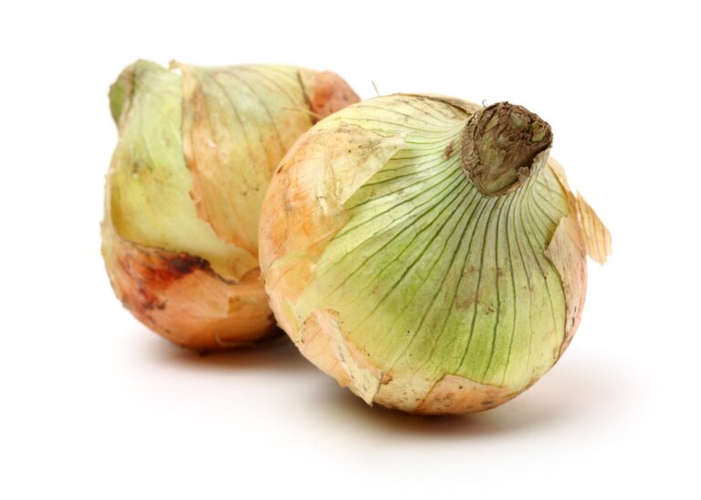 あなたも間違えているかも!?やってはいけない新玉ねぎの保存方法