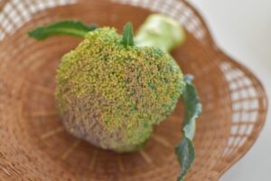 【献立の悩み解消】捨てないで！黄色くなったブロッコリーはポタージュにするのが正解！