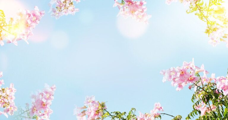 寒いから温かくなってから○○しよう…の落とし穴