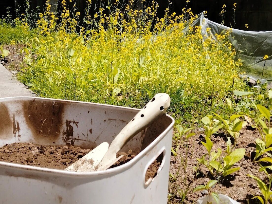 ミニコンポスト