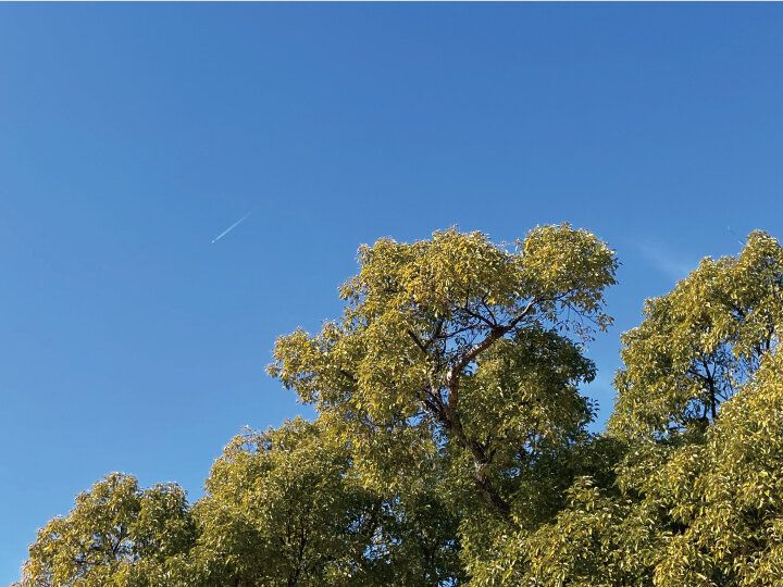 2025年は「引く」生活を。過ごしやすくするために心掛ける「しない習慣」3つ