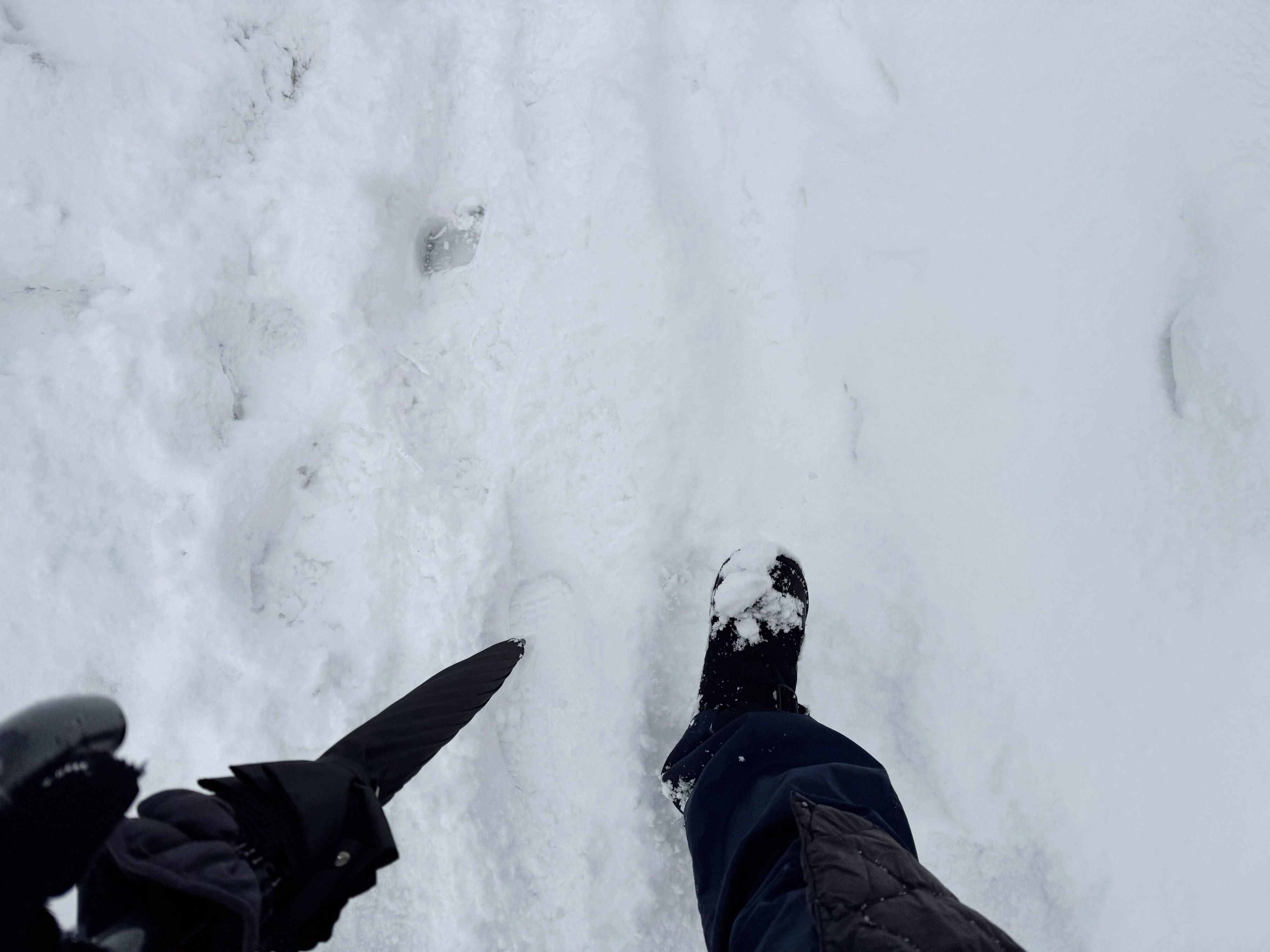 1．歩道は基本的に除雪されていないので危険
