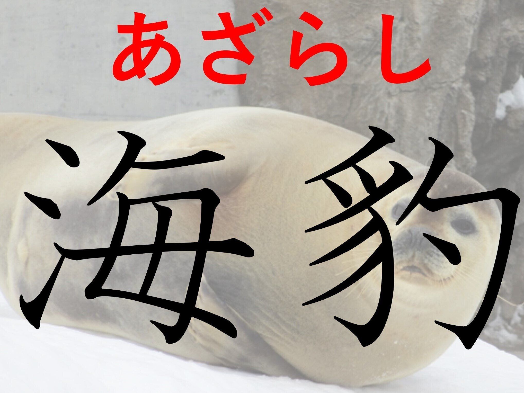 陸ではおとなしそうに見えるけど……？難読漢字「海豹」はなんて読む？