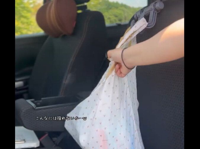 【ダイソー】荷物落下防止に!車のシートフック