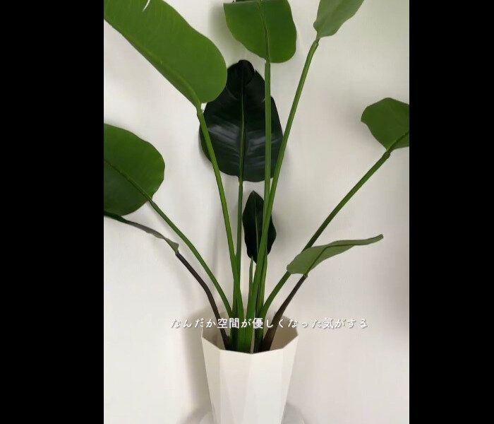 【ニトリ】まるで本物！フェイクグリーン