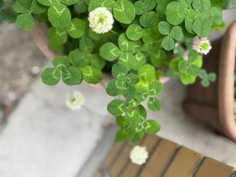 丁寧な暮らしをしている人の特徴