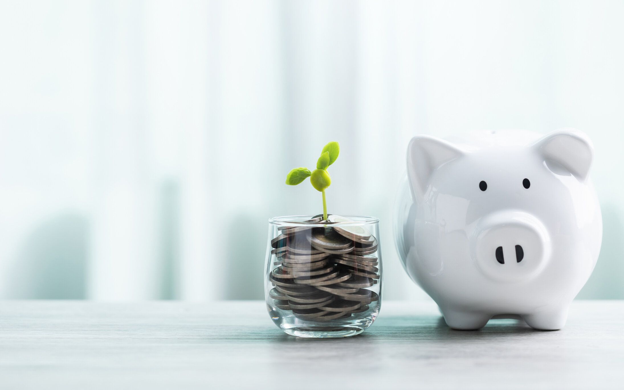 白い貯金箱と、中央に小さな苗が生えている硬貨の瓶が、明るい白い背景を背景にテーブルの上に置かれています。このイメージは、将来のための貯蓄と財政的成長を象徴しています。