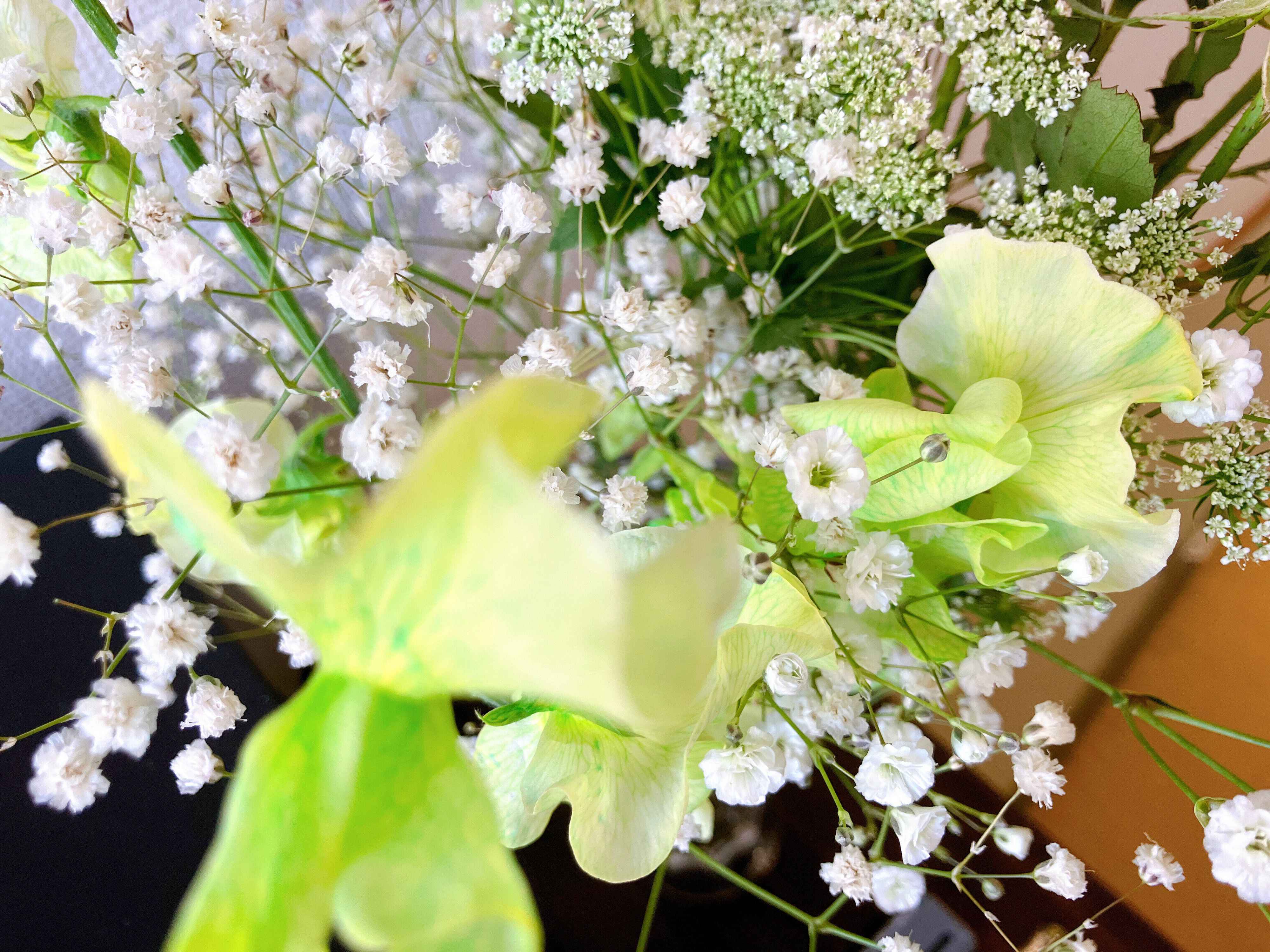 心癒すやさしい香りのスイトピー