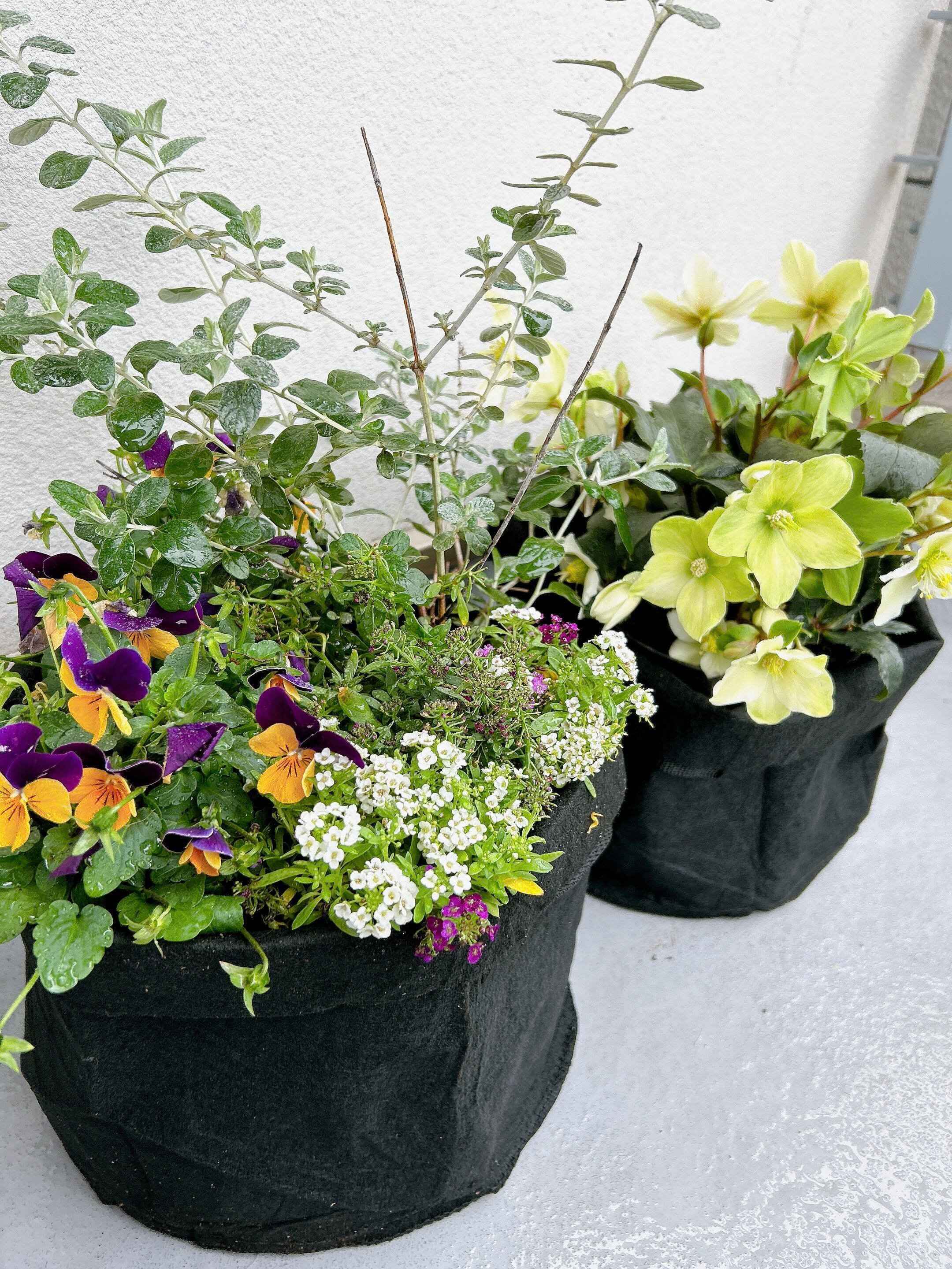 フェルトプランターでお手軽に