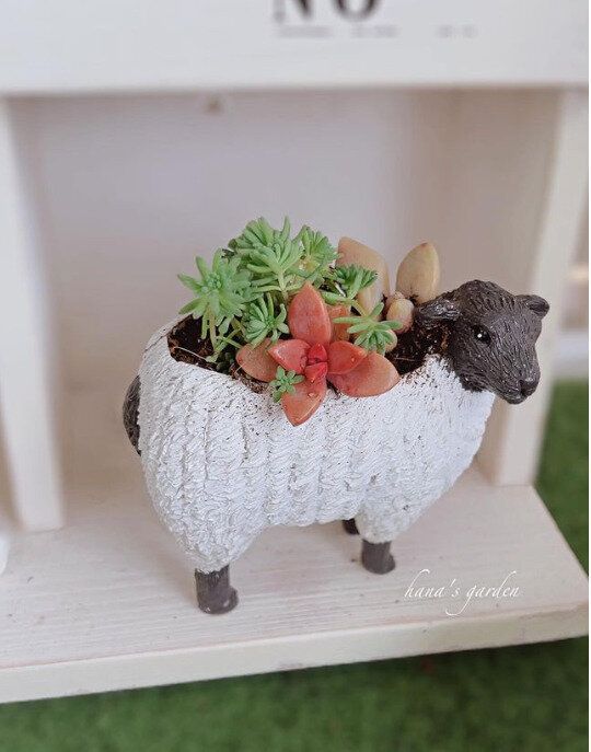 植物と動物のコラボで癒しのガーデンに