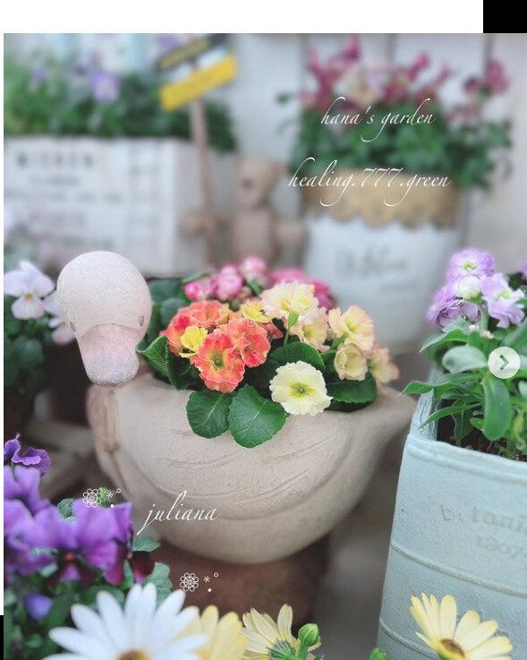 お花でおめかし