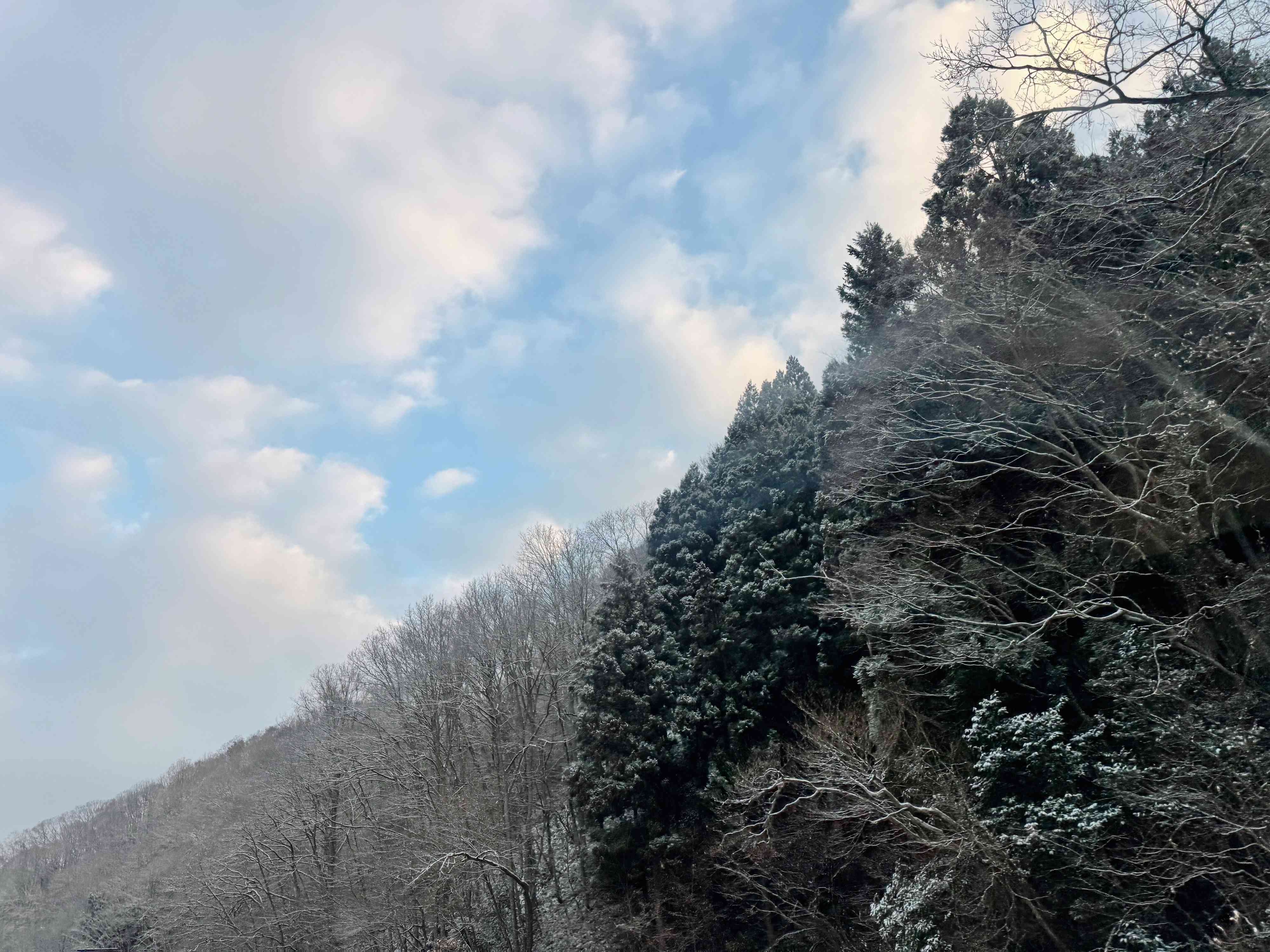 暮らしマニアのシンプリストが2025年にやりたいこと3つ