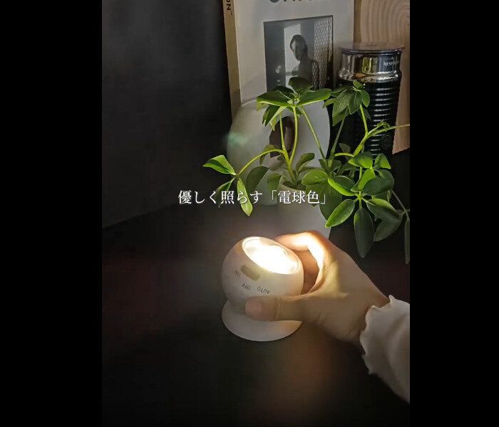 【ダイソー】コスパよすぎ!センサーライトボールタイプ