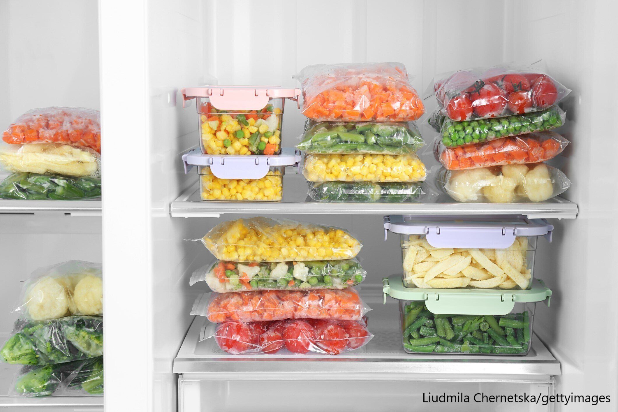 保存袋に入れられたたくさんの野菜