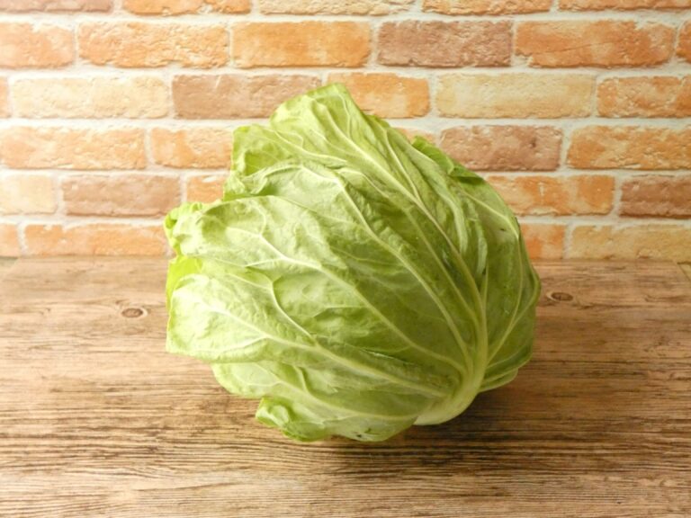 旬の春キャベツを買ったら絶対やって！栄養士が教える春キャベツの1番おいしい食べ方