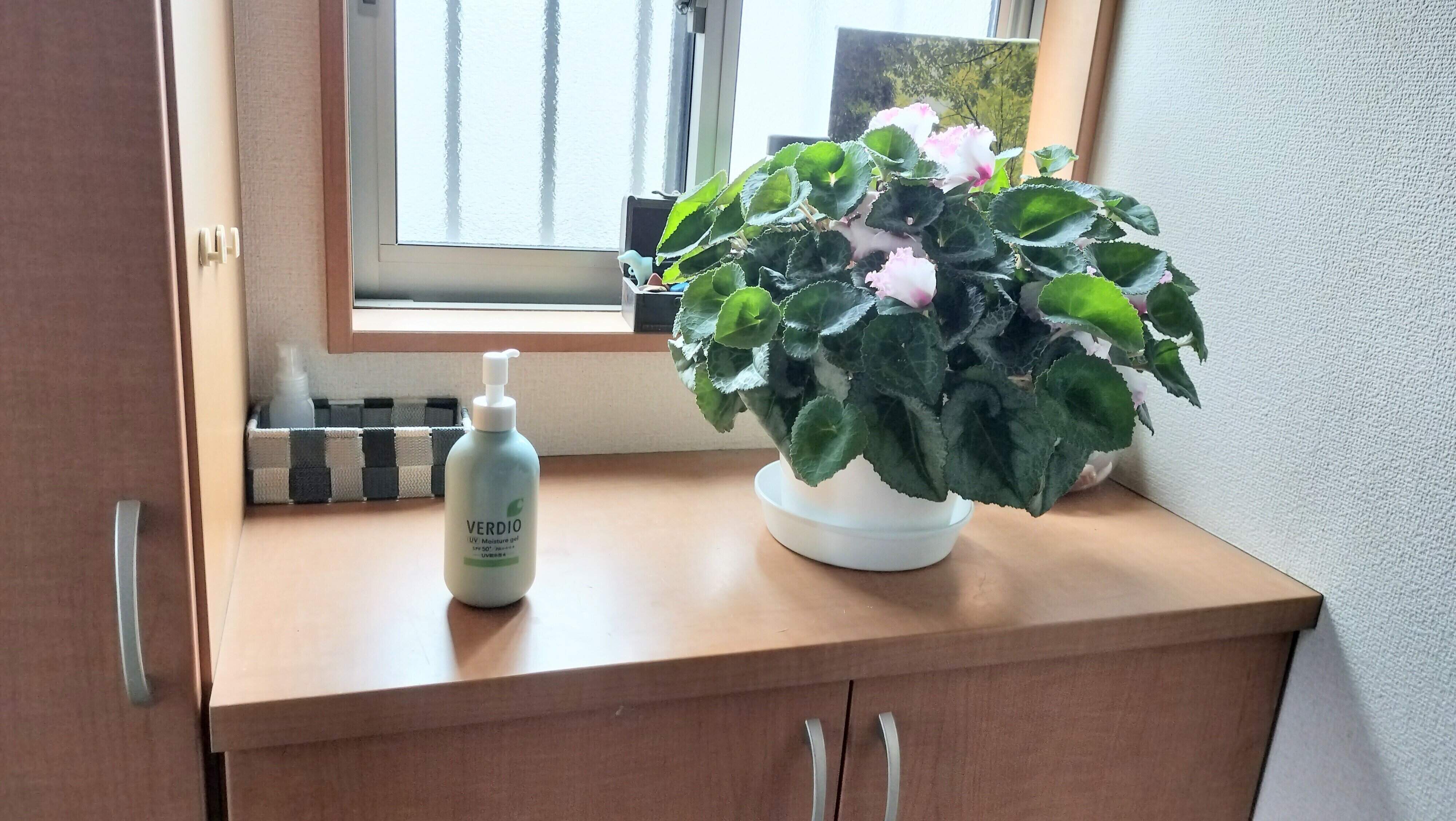 玄関においているベルディオ