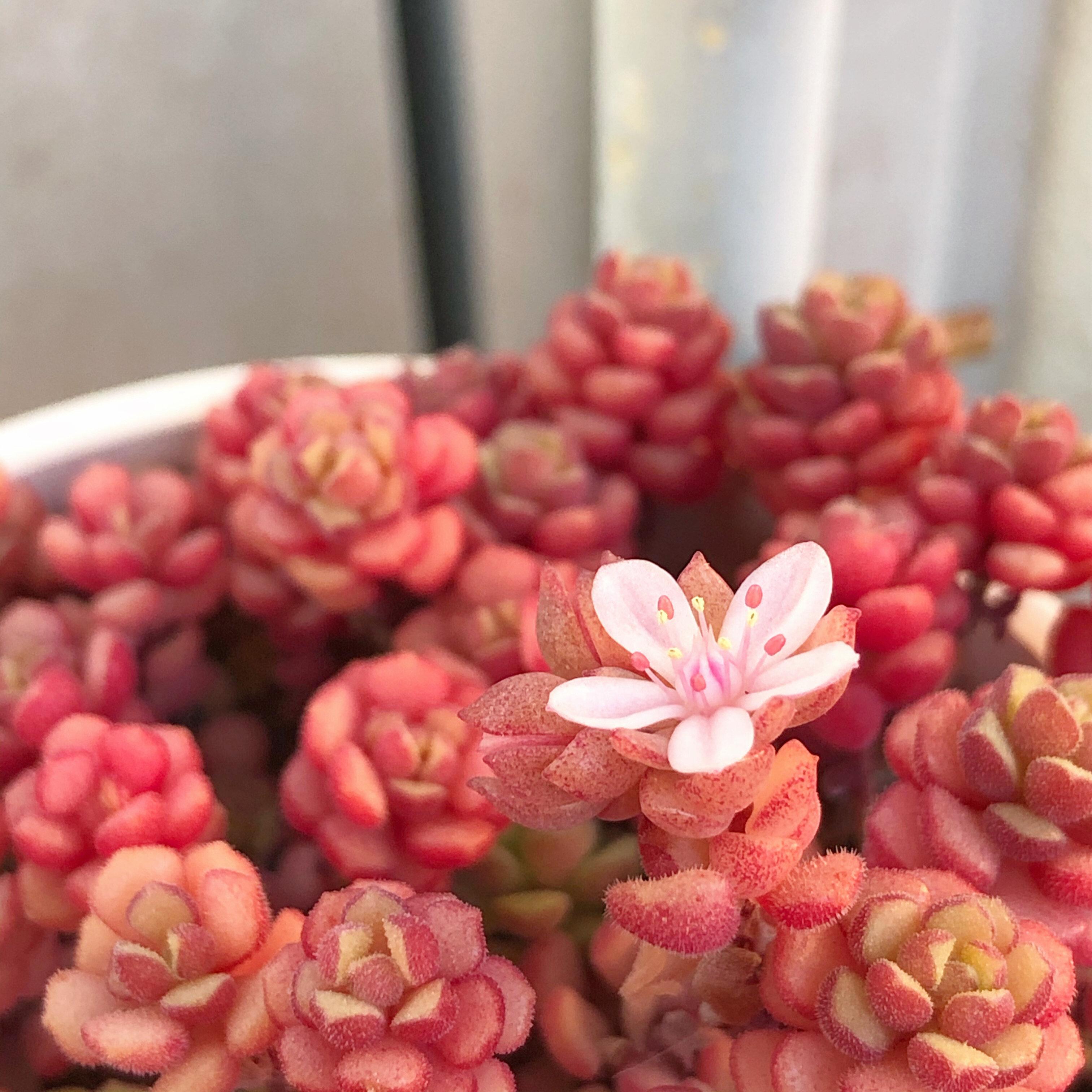 春から始めると、夏越しがぐっとラクに