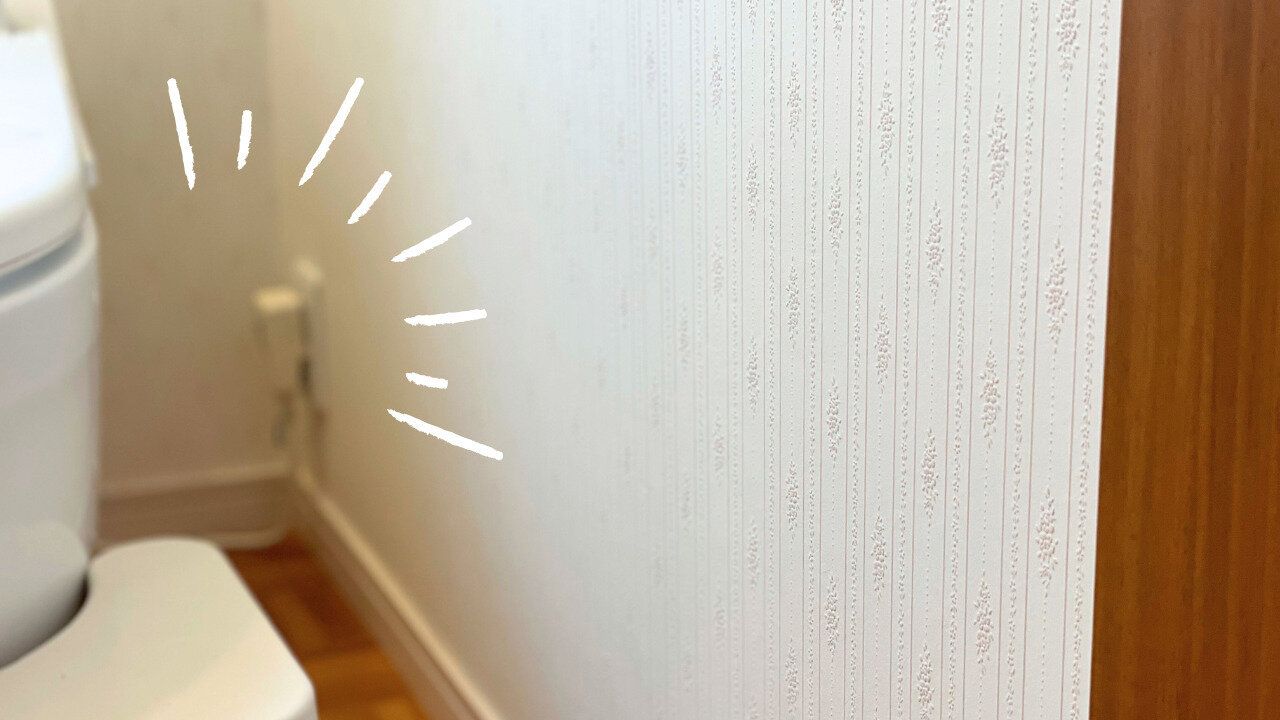 トイレブラシがなくなったトイレ