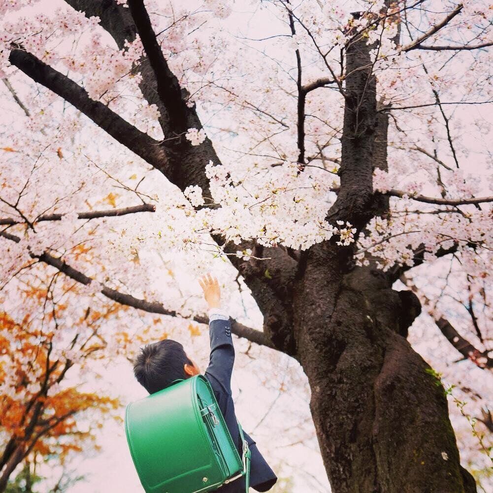 入学式の小学生