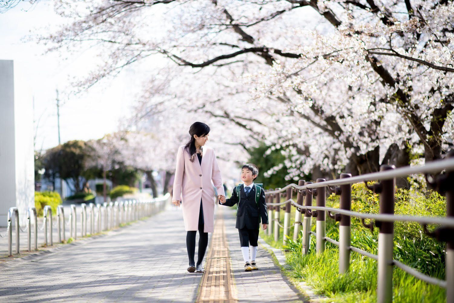 桜並木を歩く親子