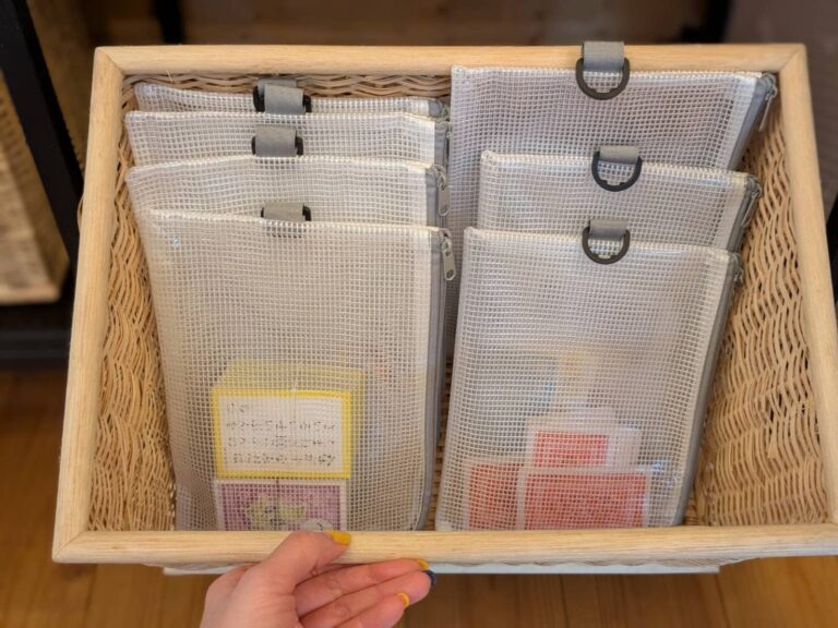 【ダイソー】プロは断然“L型“推し！収納のプロがリピする「ビニールケース」