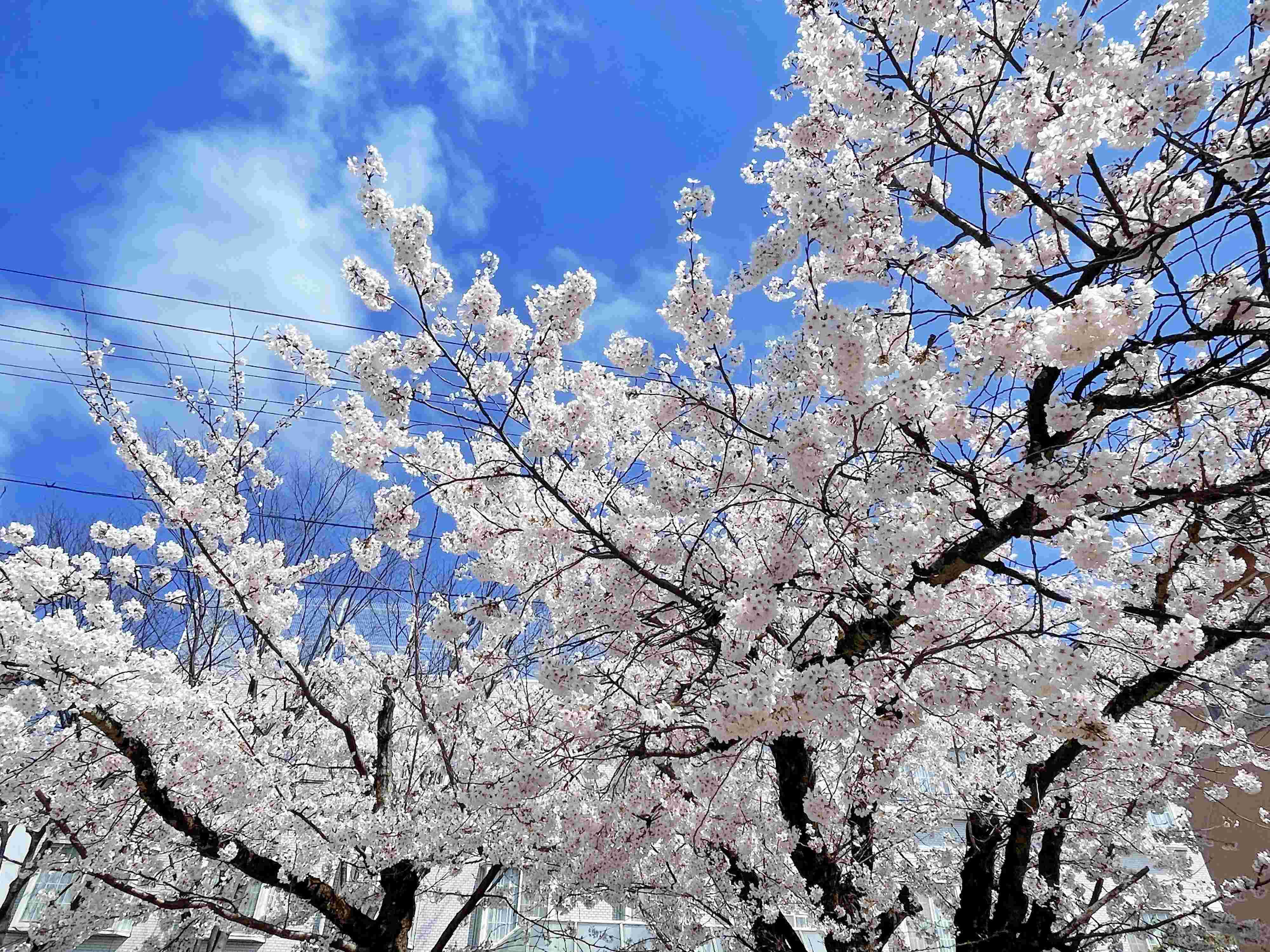 【小学生2児ママ】入学準備であえて買わなかったもの3選