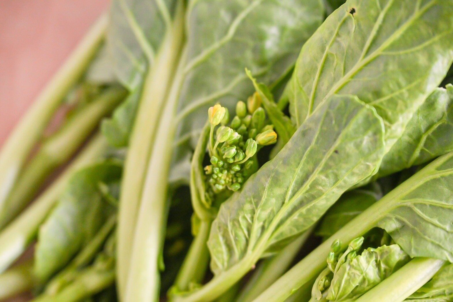 アスパラ菜の花