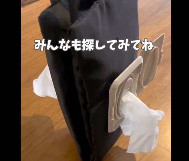 【3COINS】至るところがすっきり!ティッシュウェットティッシュポーチ