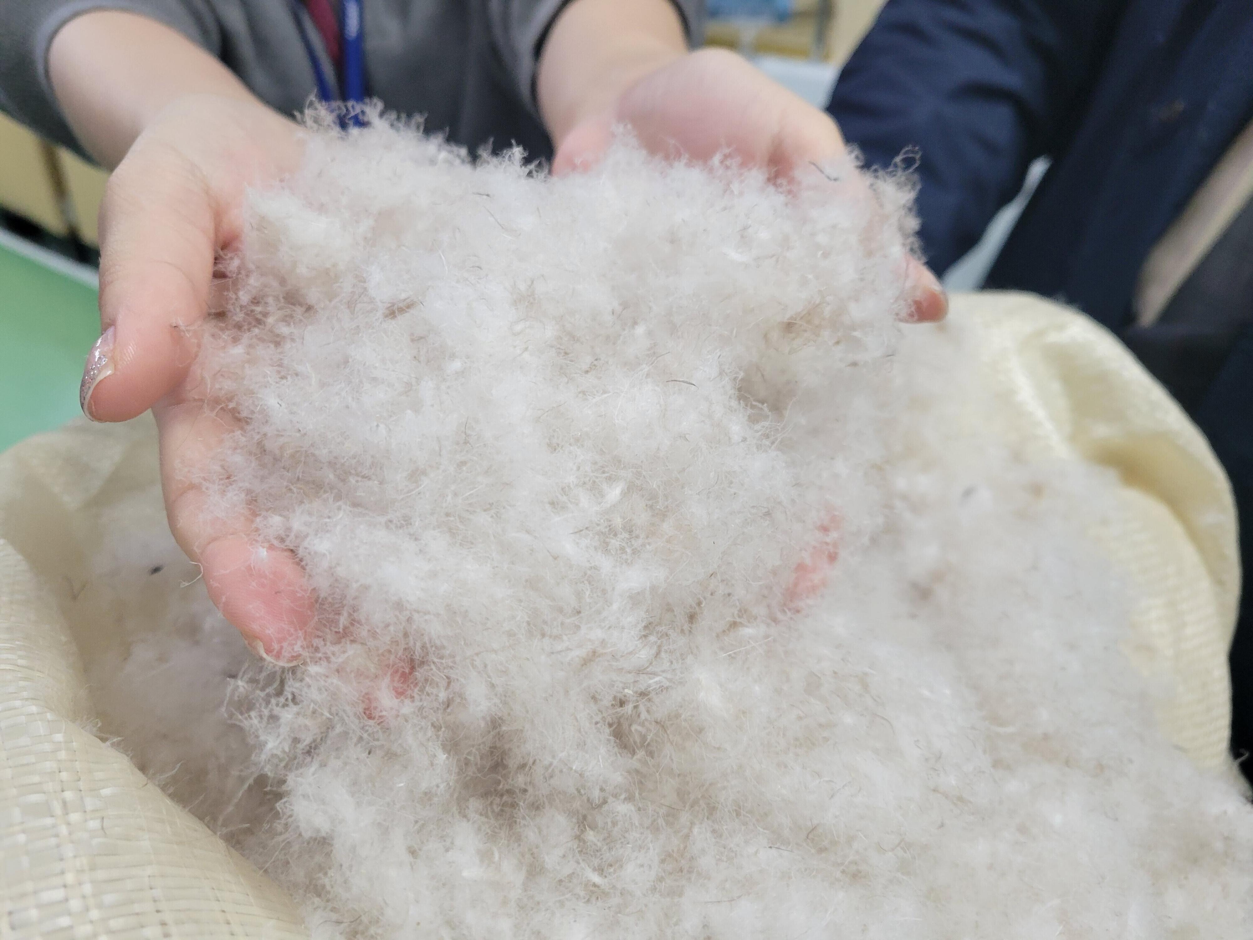 ウルトラライトダウン　再利用ユニクロ