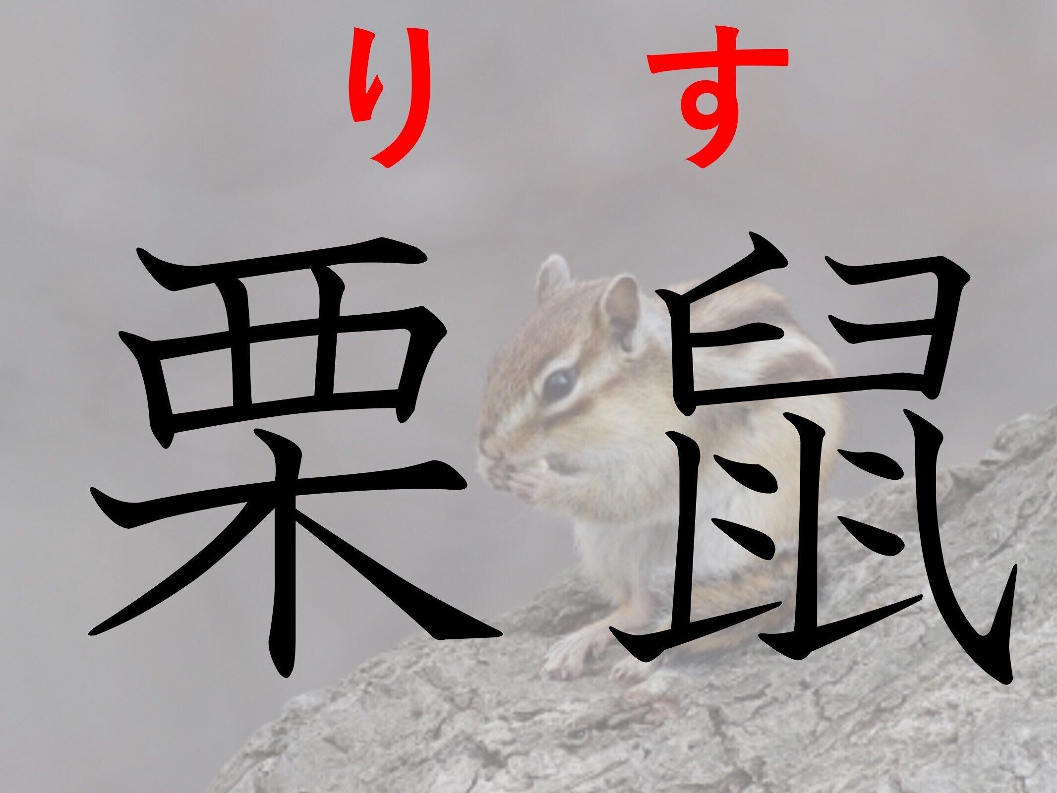 ふさふさしていてかわいい！難読漢字「栗鼠」はなんて読む？
