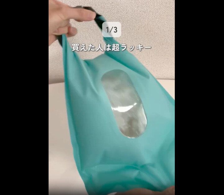 【ダイソー】買えたら超ラッキー!ウォッシュバッグ