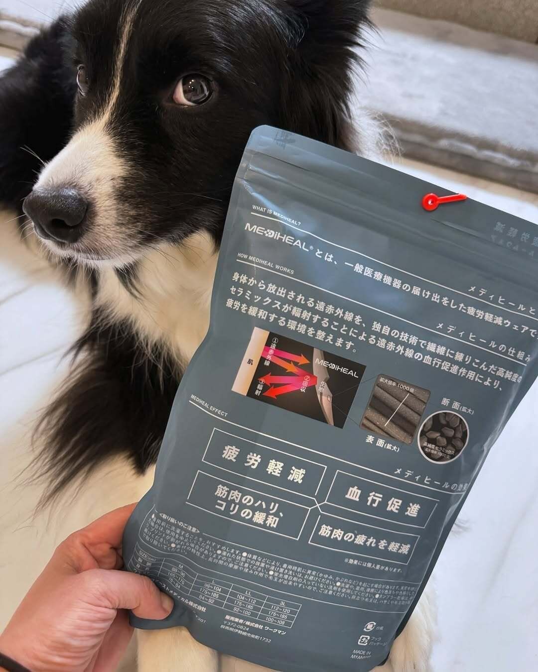 【ワークマン】疲労軽減や血行促進などうれしい機能も盛りだくさん