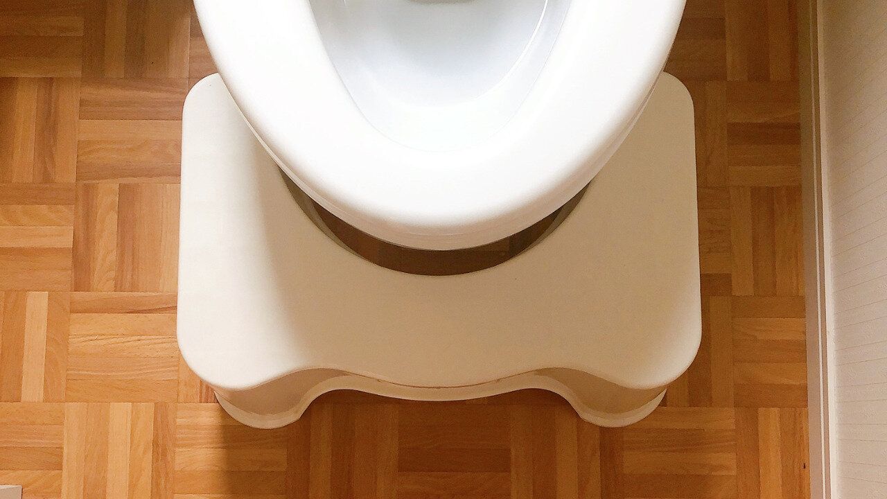 トイレに設置した状態を上から見た写真