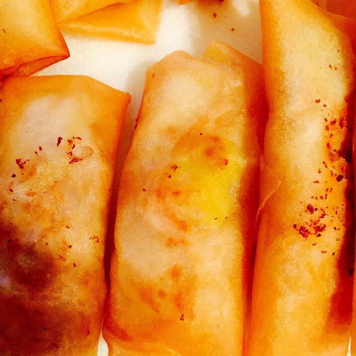 白菜とツナの春巻き