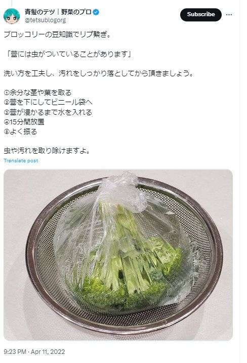 ブロッコリーの正しい洗い方