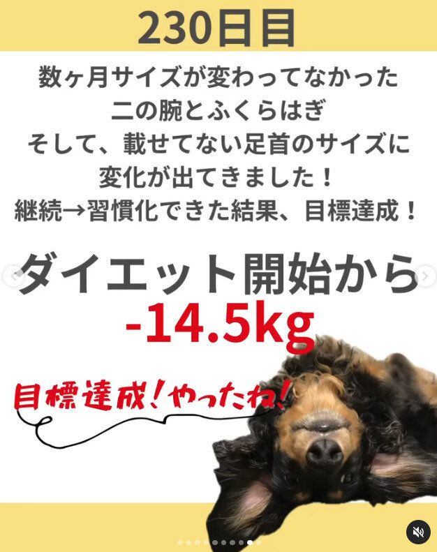 230日で目標達成!