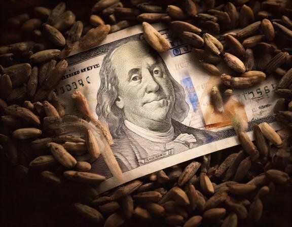 【夢占い】見たことないお札の夢の意味とは？新たな可能性やチャンスを示す予兆を解説！