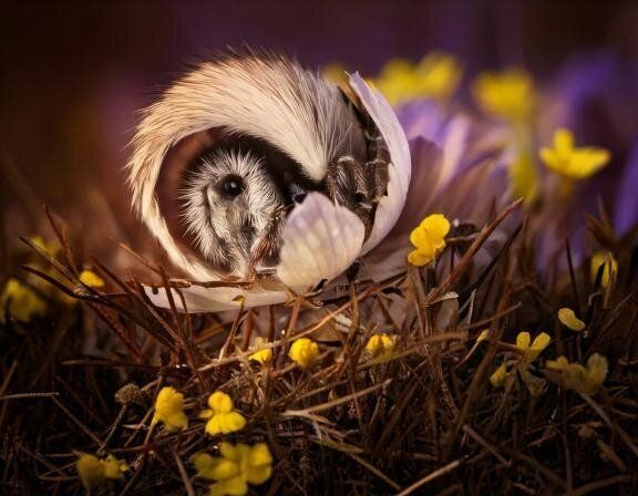 【夢占い】忘却バッテリーの夢の意味とは？シチュエーション別に解説！