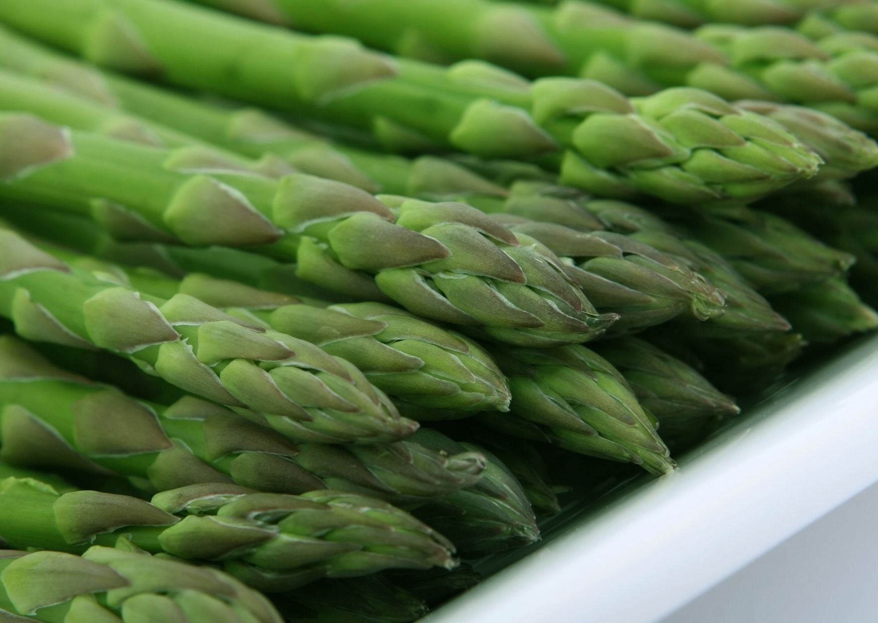 アスパラガス