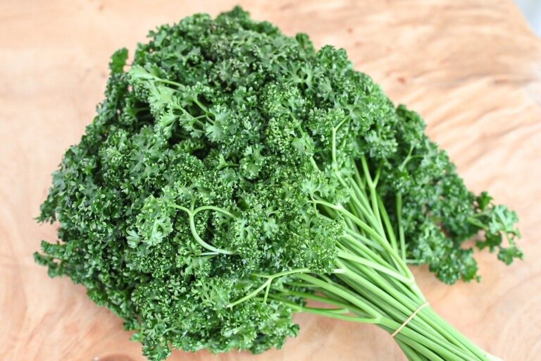 【旬食材】健康にも美容にも効果が期待できる「パセリ」をもっと食べよう！保存方法＆おすすめレシピ2選
