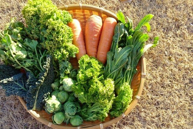 春野菜はなぜおいしい？意外なワケとかしこい食べかたを野菜ソムリエが解説